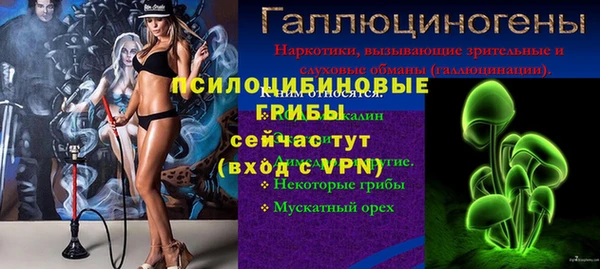 гидра Аркадак