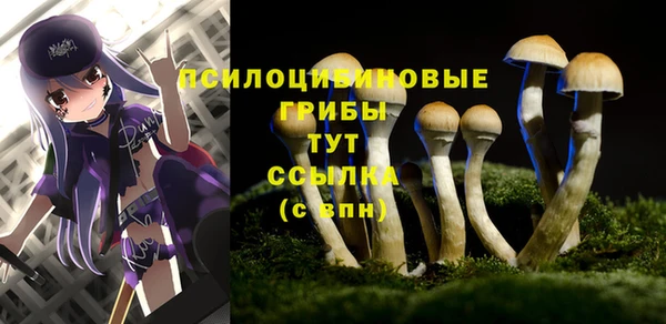 винт Армянск