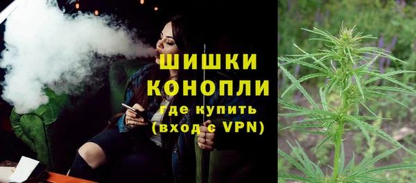 гидра Аркадак