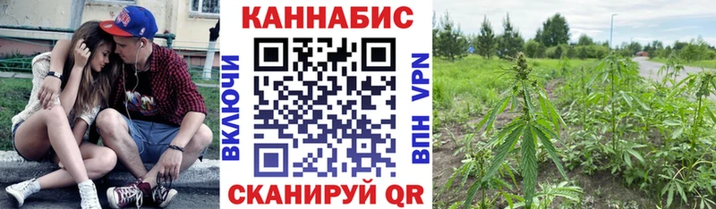 kraken зеркало  Бакал  Шишки марихуана индика  купить наркотик 